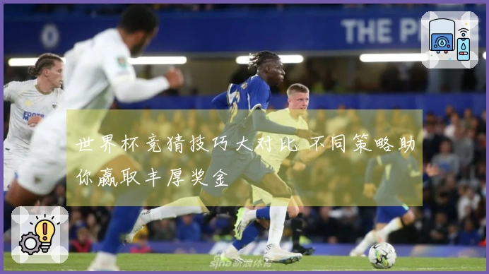 世界杯竞猜技巧大对比 不同策略助你赢取丰厚奖金