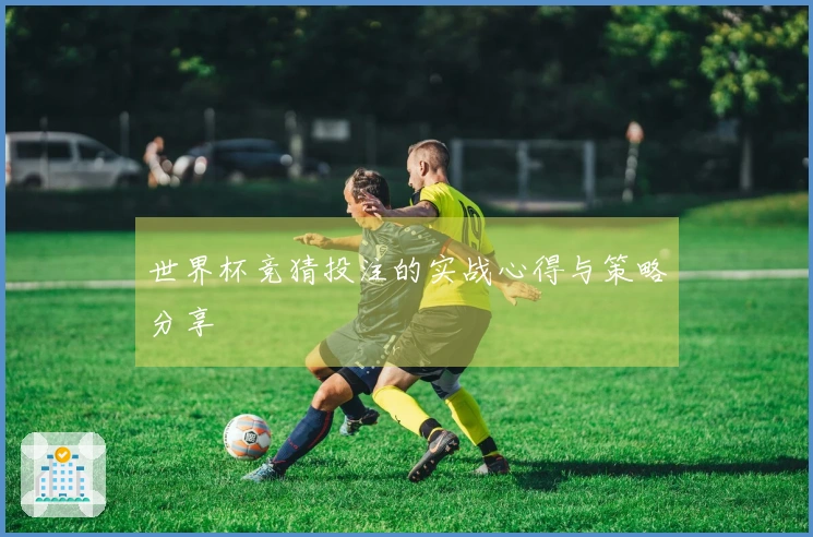 世界杯竞猜投注的实战心得与策略分享