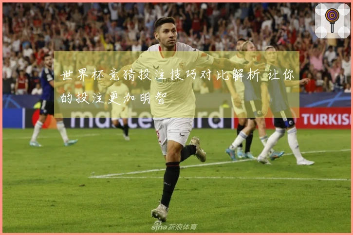 世界杯竞猜投注技巧对比解析 让你的投注更加明智