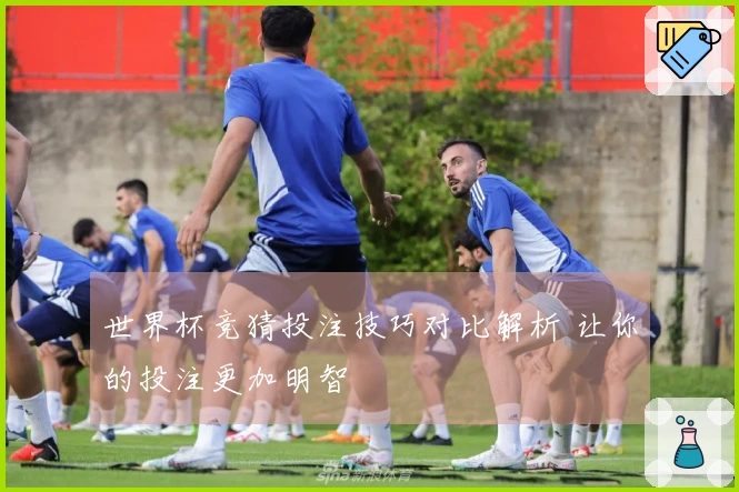 世界杯竞猜投注技巧对比解析 让你的投注更加明智