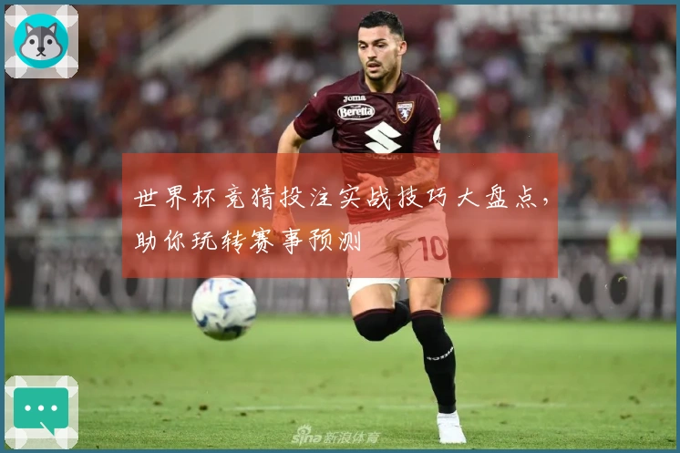 世界杯竞猜投注实战技巧大盘点，助你玩转赛事预测