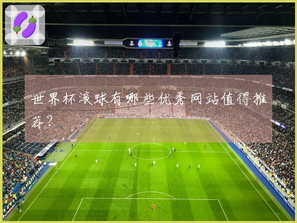 世界杯滚球有哪些优秀网站值得推荐？