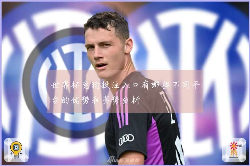 世界杯竞猜投注入口有哪些不同平台的优势和劣势分析